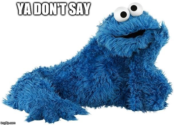 Cookie Monster | YA DON'T SAY | image tagged in cookie monster | made w/ Imgflip meme maker