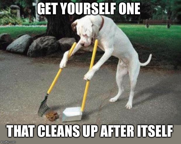 Dog poop | GET YOURSELF ONE THAT CLEANS UP AFTER ITSELF | image tagged in dog poop | made w/ Imgflip meme maker