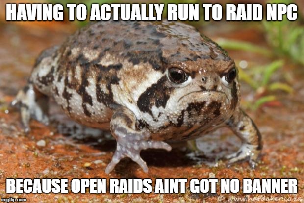 Grumpy Toad Meme | HAVING TO ACTUALLY RUN TO RAID NPC; BECAUSE OPEN RAIDS AINT GOT NO BANNER | image tagged in memes,grumpy toad | made w/ Imgflip meme maker