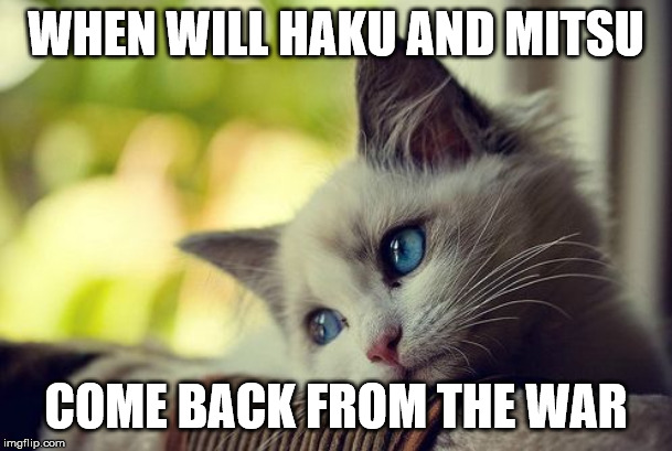 First World Problems Cat Meme | WHEN WILL HAKU AND MITSU; COME BACK FROM THE WAR | image tagged in memes,first world problems cat | made w/ Imgflip meme maker