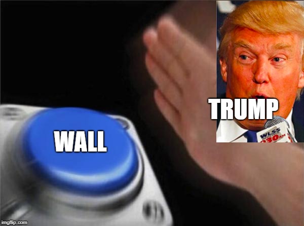 Blank Nut Button | TRUMP; WALL | image tagged in memes,blank nut button | made w/ Imgflip meme maker