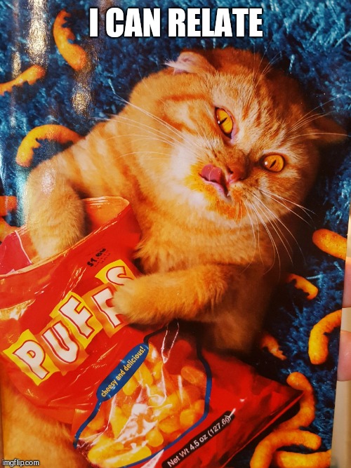 Cat eating Cheetos | I CAN RELATE | image tagged in cat eating cheetos | made w/ Imgflip meme maker