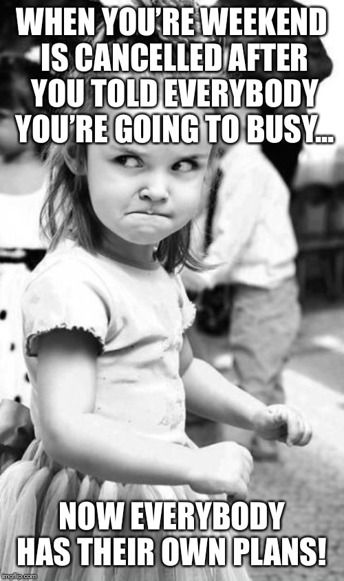 Angry Toddler | WHEN YOU’RE WEEKEND IS CANCELLED AFTER YOU TOLD EVERYBODY YOU’RE GOING TO BUSY... NOW EVERYBODY HAS THEIR OWN PLANS! | image tagged in memes,angry toddler | made w/ Imgflip meme maker