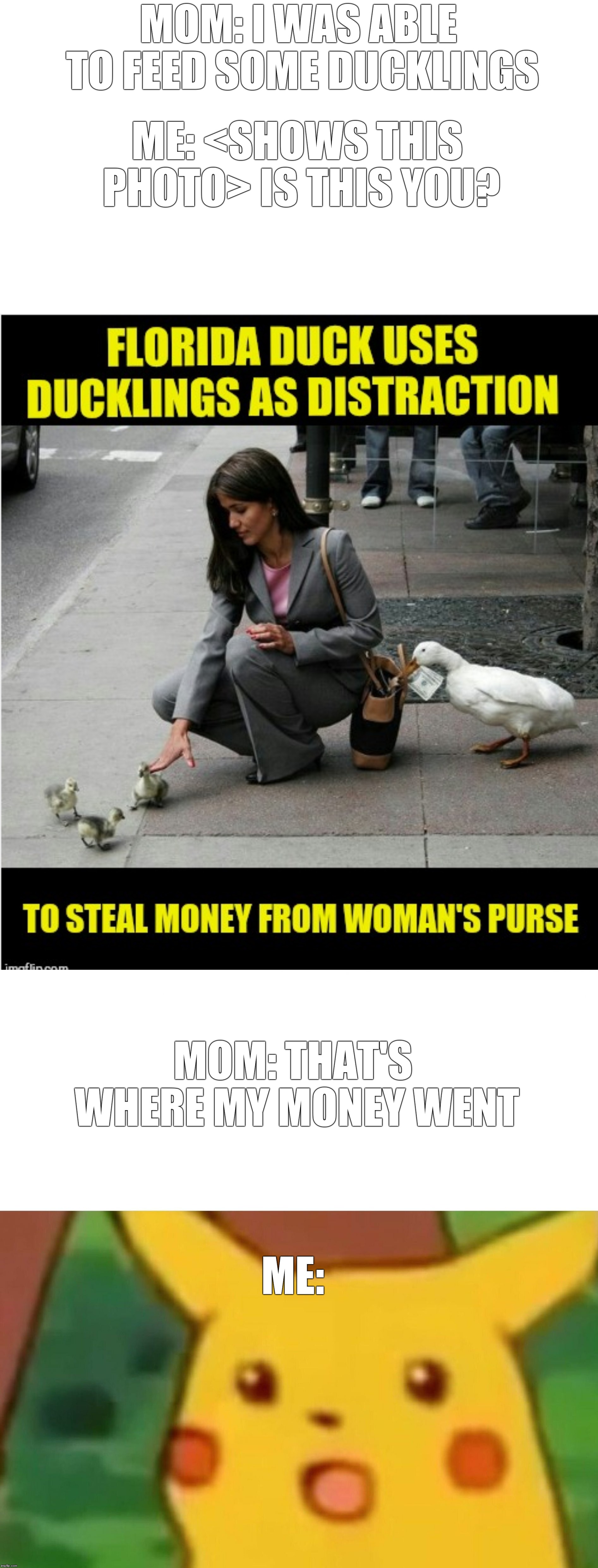 Ducks steal my mom's money | MOM: I WAS ABLE TO FEED SOME DUCKLINGS; ME: <SHOWS THIS PHOTO> IS THIS YOU? MOM: THAT'S WHERE MY MONEY WENT; ME: | image tagged in memes,surprised pikachu | made w/ Imgflip meme maker
