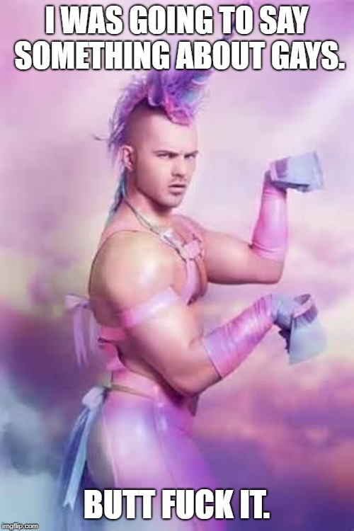Gay Unicorn | I WAS GOING TO SAY SOMETHING ABOUT GAYS. BUTT F**K IT. | image tagged in gay unicorn | made w/ Imgflip meme maker