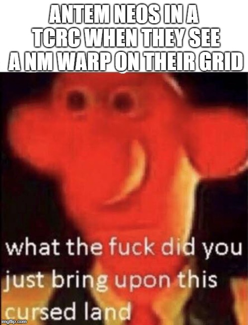 Wallace cursed land | ANTEM NEOS IN A TCRC WHEN THEY SEE A NM WARP ON THEIR GRID | image tagged in wallace cursed land | made w/ Imgflip meme maker