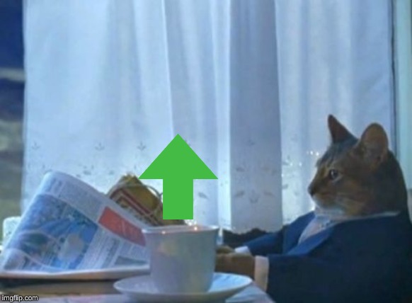 I Should Buy A Boat Cat Meme | image tagged in memes,i should buy a boat cat | made w/ Imgflip meme maker