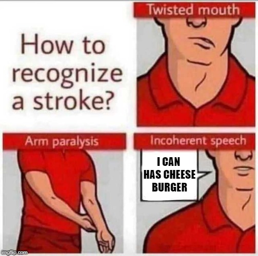 You start to talk like a cat | I CAN HAS CHEESE BURGER | image tagged in how to recognize a stroke,memes,i can has cheezburger cat | made w/ Imgflip meme maker