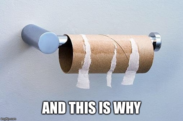 No More Toilet Paper | AND THIS IS WHY | image tagged in no more toilet paper | made w/ Imgflip meme maker