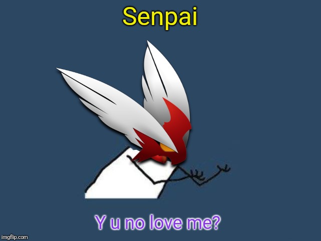 Y u no Blaze the Blaziken | Senpai Y u no love me? | image tagged in y u no blaze the blaziken | made w/ Imgflip meme maker