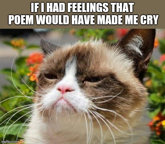 IF I HAD FEELINGS THAT POEM WOULD HAVE MADE ME CRY | made w/ Imgflip meme maker