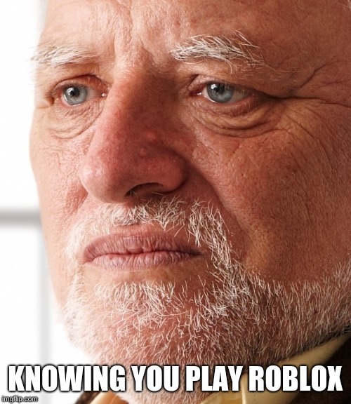 Dissapointment | KNOWING YOU PLAY ROBLOX | image tagged in dissapointment | made w/ Imgflip meme maker