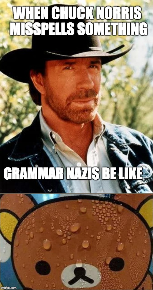 Chuck Norris Meme | WHEN CHUCK NORRIS MISSPELLS SOMETHING; GRAMMAR NAZIS BE LIKE | image tagged in memes,chuck norris | made w/ Imgflip meme maker