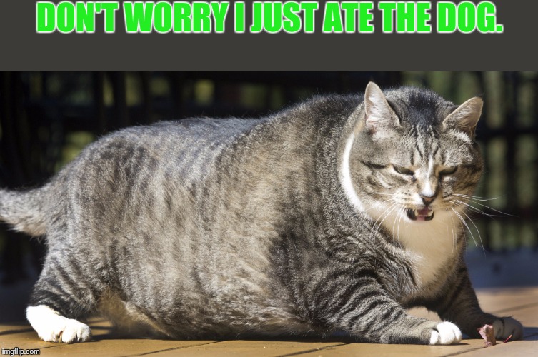 DON'T WORRY I JUST ATE THE DOG. | made w/ Imgflip meme maker