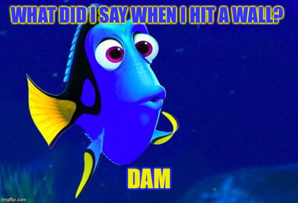 You should get this one! XD | WHAT DID I SAY WHEN I HIT A WALL? DAM | image tagged in bad memory fish,bad puns,lmao | made w/ Imgflip meme maker
