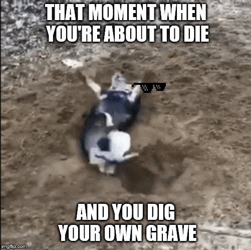 Saw this dog digging a hole and then kept digging on his back. Pausing it gave me an idea...He is like jesus.. | THAT MOMENT WHEN YOU'RE ABOUT TO DIE; AND YOU DIG YOUR OWN GRAVE | image tagged in dark humor,dogs | made w/ Imgflip meme maker