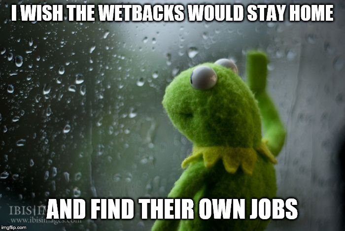 kermit window | I WISH THE WETBACKS WOULD STAY HOME AND FIND THEIR OWN JOBS | image tagged in kermit window | made w/ Imgflip meme maker