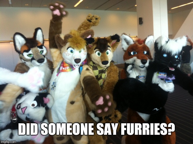 Furries | DID SOMEONE SAY FURRIES? | image tagged in furries | made w/ Imgflip meme maker