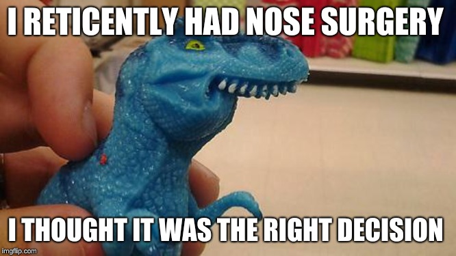 Dinosaurio F | I RETICENTLY HAD NOSE SURGERY; I THOUGHT IT WAS THE RIGHT DECISION | image tagged in dinosaurio f | made w/ Imgflip meme maker