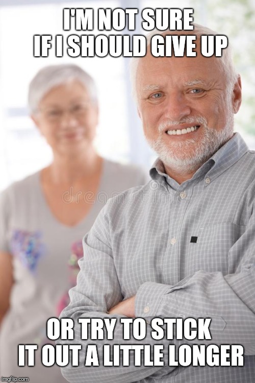 Harold wife | OR TRY TO STICK IT OUT A LITTLE LONGER I'M NOT SURE IF I SHOULD GIVE UP | image tagged in harold wife | made w/ Imgflip meme maker