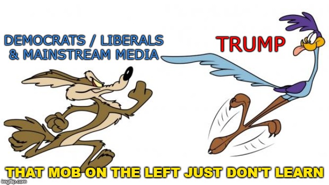 Road Runner  | DEMOCRATS / LIBERALS & MAINSTREAM MEDIA; TRUMP; THAT MOB ON THE LEFT JUST DON'T LEARN | image tagged in road runner | made w/ Imgflip meme maker