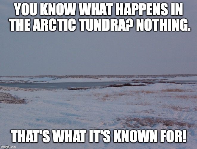 Arctic Tundra | YOU KNOW WHAT HAPPENS IN THE ARCTIC TUNDRA? NOTHING. THAT'S WHAT IT'S KNOWN FOR! | image tagged in arctic,memes | made w/ Imgflip meme maker