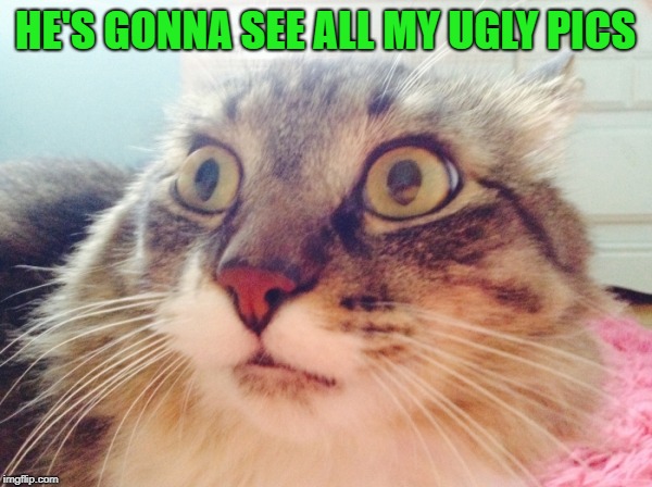 OMG Cat  | HE'S GONNA SEE ALL MY UGLY PICS | image tagged in omg cat | made w/ Imgflip meme maker