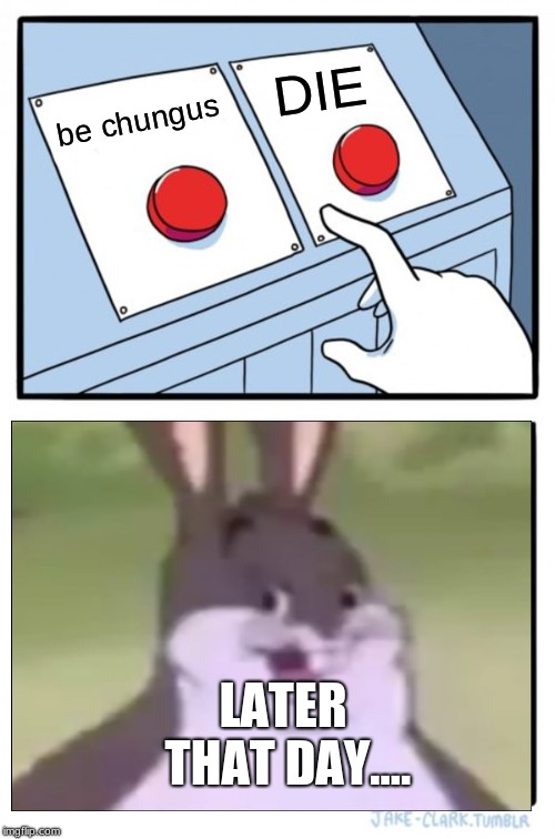 Two Buttons | DIE; be chungus; LATER THAT DAY.... | image tagged in memes,two buttons | made w/ Imgflip meme maker