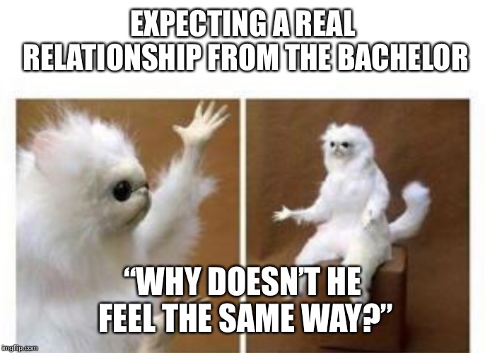 Confused white monkey | EXPECTING A REAL RELATIONSHIP FROM THE BACHELOR; “WHY DOESN’T HE FEEL THE SAME WAY?” | image tagged in confused white monkey | made w/ Imgflip meme maker