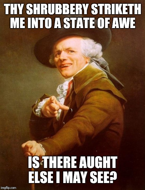 Joseph Ducreux Meme | THY SHRUBBERY STRIKETH ME INTO A STATE OF AWE IS THERE AUGHT ELSE I MAY SEE? | image tagged in memes,joseph ducreux | made w/ Imgflip meme maker