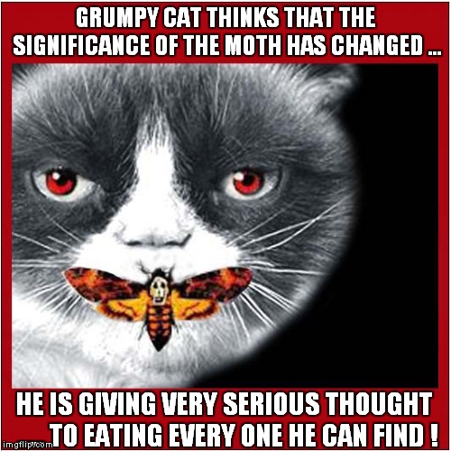 Grumpy Cats' silence about tasty, tasty Moths | GRUMPY CAT THINKS THAT THE SIGNIFICANCE OF THE MOTH HAS CHANGED ... HE IS GIVING VERY SERIOUS THOUGHT ..... TO EATING EVERY ONE HE CAN FIND ! | image tagged in grumpy cat,cats,silence of the lambs | made w/ Imgflip meme maker