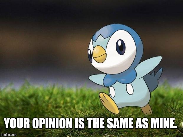 Unpopular Opinion Piplup | YOUR OPINION IS THE SAME AS MINE. | image tagged in unpopular opinion piplup | made w/ Imgflip meme maker