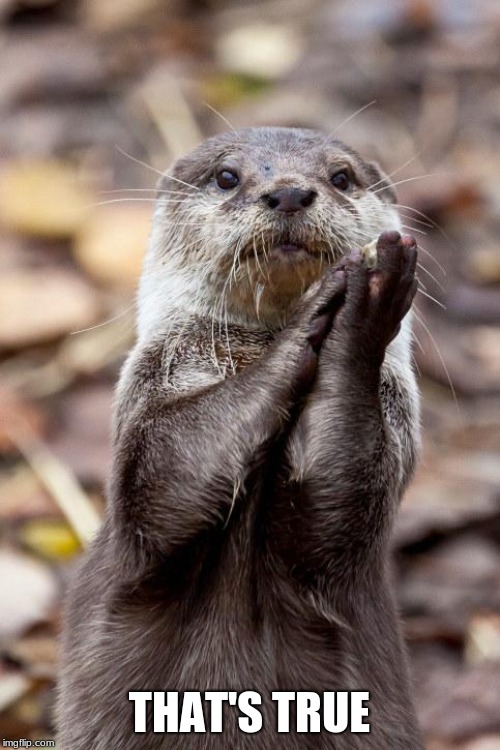 Slow-Clap Otter | THAT'S TRUE | image tagged in slow-clap otter | made w/ Imgflip meme maker