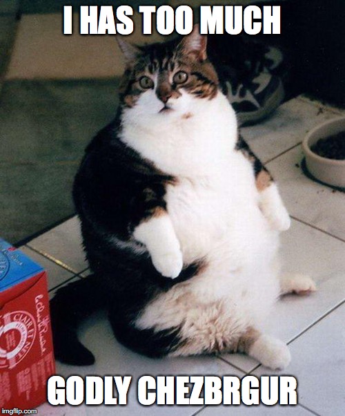 fat cat | I HAS TOO MUCH; GODLY CHEZBRGUR | image tagged in fat cat | made w/ Imgflip meme maker