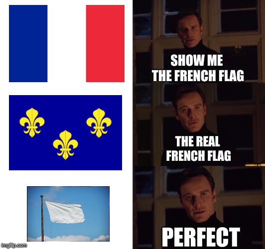 perfection | SHOW ME THE FRENCH FLAG; THE REAL FRENCH FLAG; PERFECT | image tagged in perfection | made w/ Imgflip meme maker