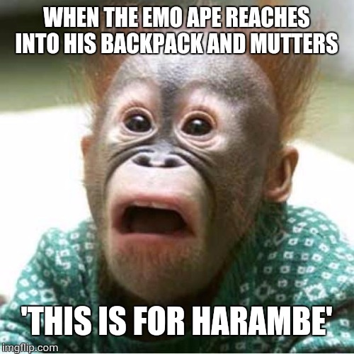 Scared monkey | WHEN THE EMO APE REACHES INTO HIS BACKPACK AND MUTTERS; 'THIS IS FOR HARAMBE' | image tagged in scared monkey | made w/ Imgflip meme maker
