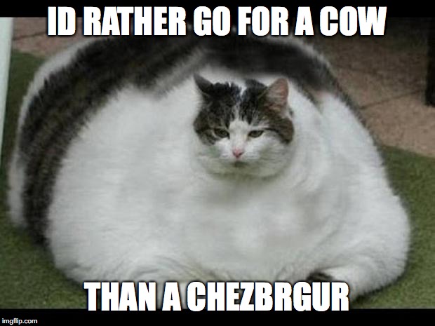 fat cat 2 | ID RATHER GO FOR A COW; THAN A CHEZBRGUR | image tagged in fat cat 2 | made w/ Imgflip meme maker