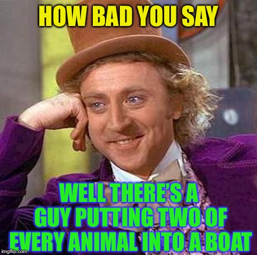 Creepy Condescending Wonka Meme | HOW BAD YOU SAY WELL THERE’S A GUY PUTTING TWO OF EVERY ANIMAL INTO A BOAT | image tagged in memes,creepy condescending wonka | made w/ Imgflip meme maker