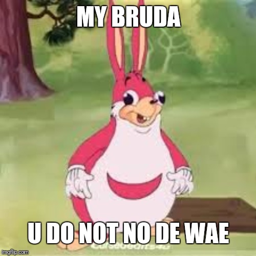 Ugandan chungles | MY BRUDA U DO NOT NO DE WAE | image tagged in ugandan chungles | made w/ Imgflip meme maker