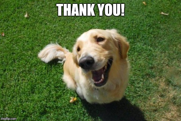Happy Dog | THANK YOU! | image tagged in happy dog | made w/ Imgflip meme maker