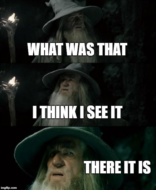 Confused Gandalf Meme | WHAT WAS THAT; I THINK I SEE IT; THERE IT IS | image tagged in memes,confused gandalf | made w/ Imgflip meme maker