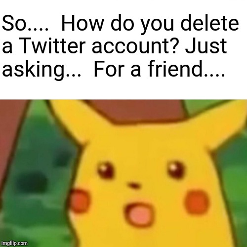 Surprised Pikachu Meme | So....  How do you delete a Twitter account? Just asking...  For a friend.... | image tagged in memes,surprised pikachu | made w/ Imgflip meme maker
