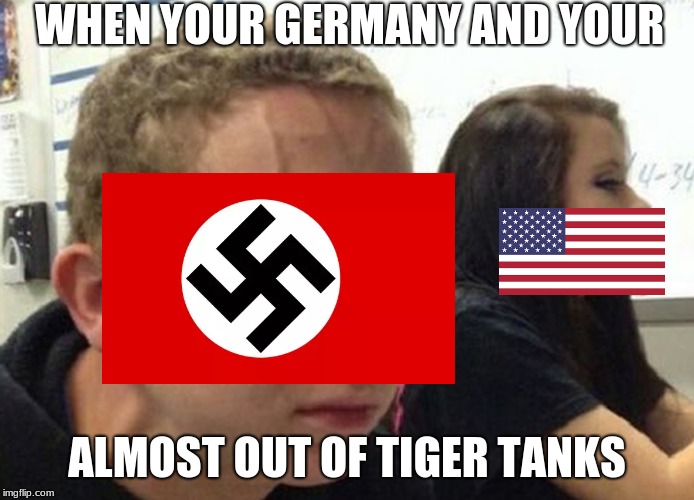 When you haven't told anybody | WHEN YOUR GERMANY AND YOUR; ALMOST OUT OF TIGER TANKS | image tagged in when you haven't told anybody | made w/ Imgflip meme maker