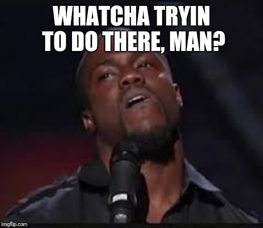 Kevin Hart | WHATCHA TRYIN TO DO THERE, MAN? | image tagged in kevin hart | made w/ Imgflip meme maker