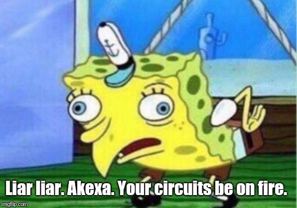 Mocking Spongebob Meme | Liar liar. Akexa. Your circuits be on fire. | image tagged in memes,mocking spongebob | made w/ Imgflip meme maker