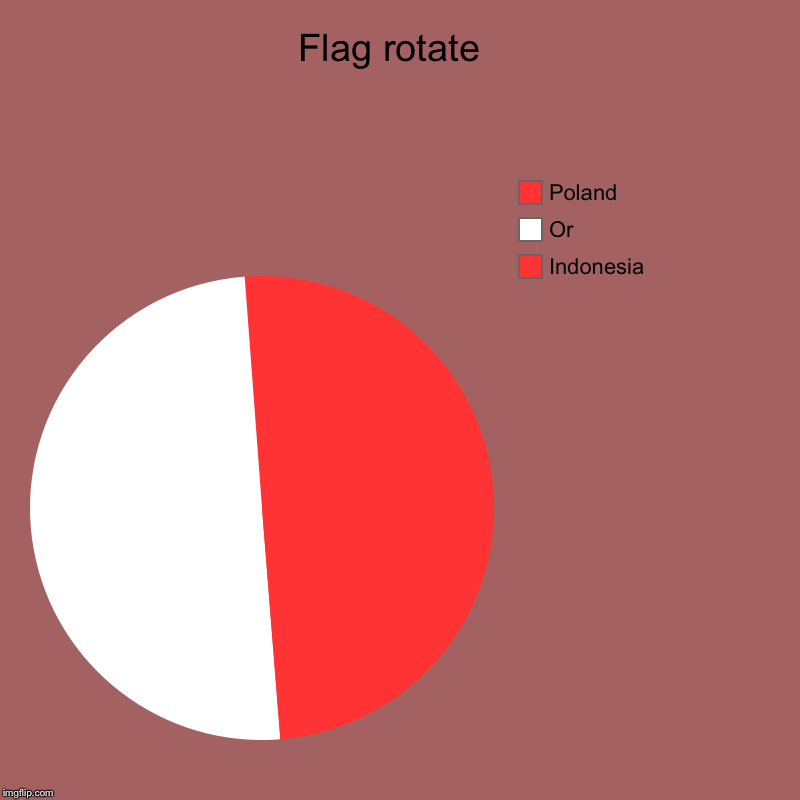 You decided red up or red down... white up or white down. | Flag rotate  | Indonesia , Or , Poland | image tagged in pie charts,polish,indonesian,flags,upon,rotation | made w/ Imgflip chart maker