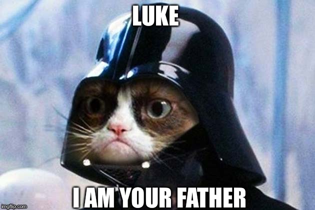 Darth Vader Cat | LUKE; I AM YOUR FATHER | image tagged in darth vader cat | made w/ Imgflip meme maker