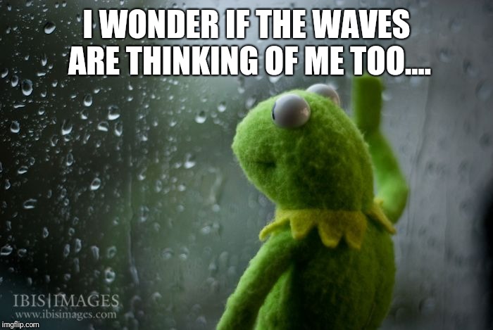 kermit window | I WONDER IF THE WAVES ARE THINKING OF ME TOO.... | image tagged in kermit window | made w/ Imgflip meme maker
