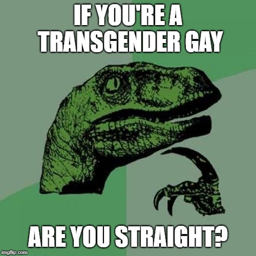 Philosoraptor Meme | IF YOU'RE A TRANSGENDER GAY; ARE YOU STRAIGHT? | image tagged in memes,philosoraptor | made w/ Imgflip meme maker