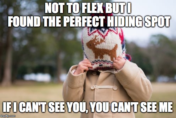 NOT TO FLEX BUT I FOUND THE PERFECT HIDING SPOT; IF I CAN'T SEE YOU, YOU CAN'T SEE ME | image tagged in psychology | made w/ Imgflip meme maker